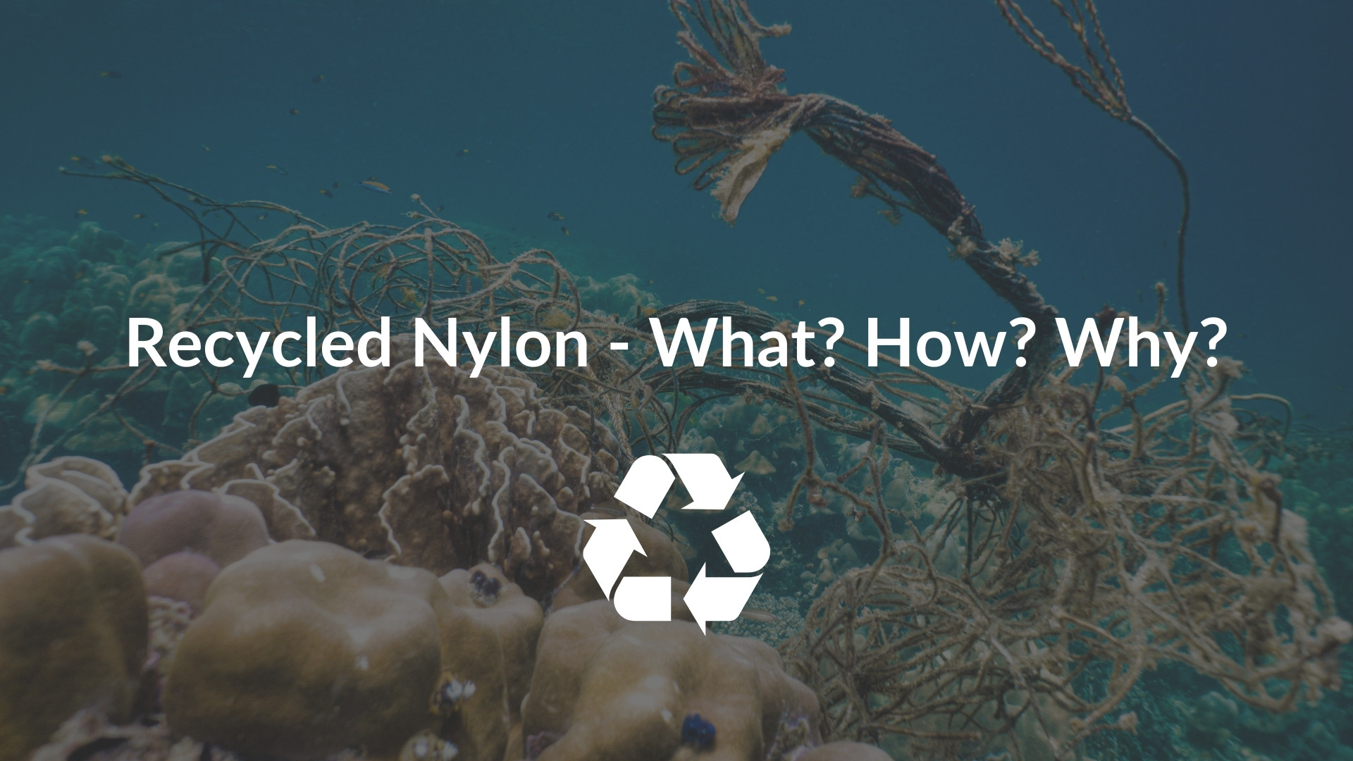 Recycled Nylon: What It Is, How It's Made, And Why We Use It