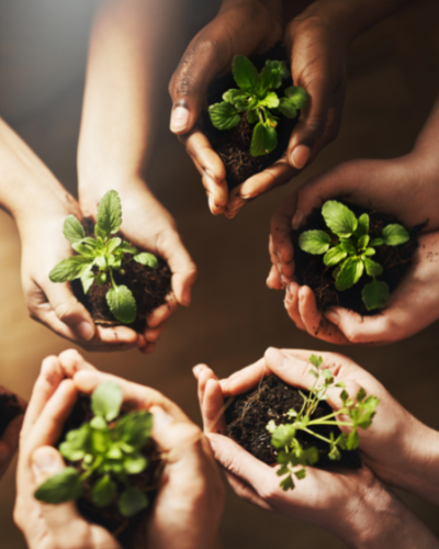 How To Encourage Others To Embrace Sustainability